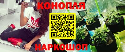 таблы Тула