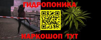 шишки Тулун