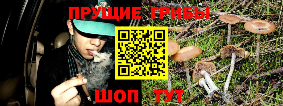 Нефтеюганск  Галлюциногенные грибы Psilocybe  Вход с VPN 
